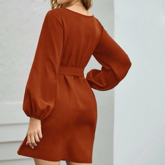 Rust pink lantern long sleeve mini dress Minimalist Work - Picture 11 of 16